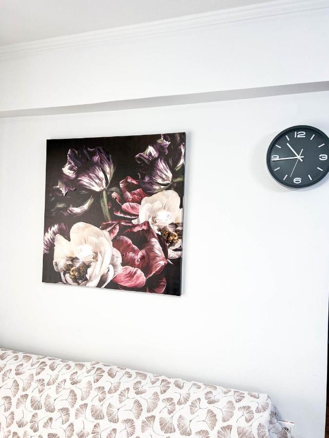 Philoxenia Oasis Supreme Apartment 알렉산드로폴리스 외부 사진